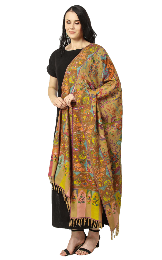 Wearing a masterpiece of Kani Pashmina