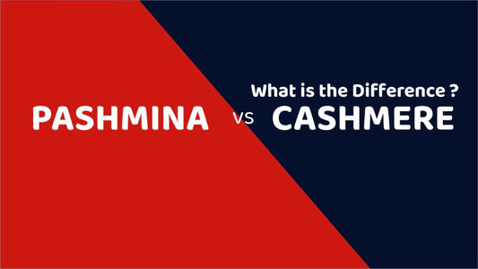 Difference between Cashmere and Pashmina