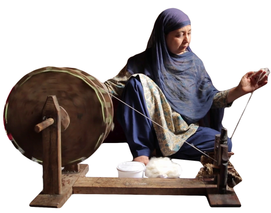Empowering Women Through GI Pashmina Shawls