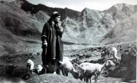 The History of Pashmina Trade: A Tale of Luxury, Craftsmanship, and Tradition