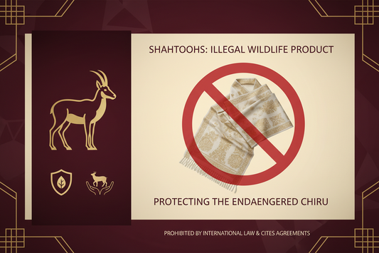 Is Shahtoosh Illegal? A Country-by-Country Legal Guide for 2026