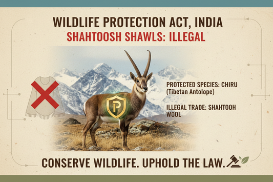 Shahtoosh in India: The Wildlife Protection Act 1972 and What It Means Today