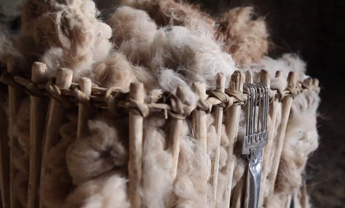 Cashmere wool in a wooden basket after being harvested from Changthangi goats in Ladakh